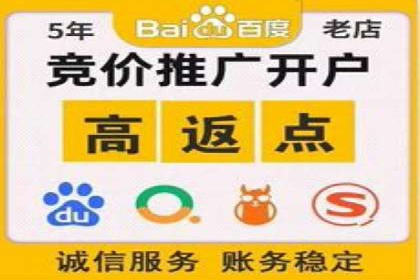 百度联盟推广网络覆盖的案例研究